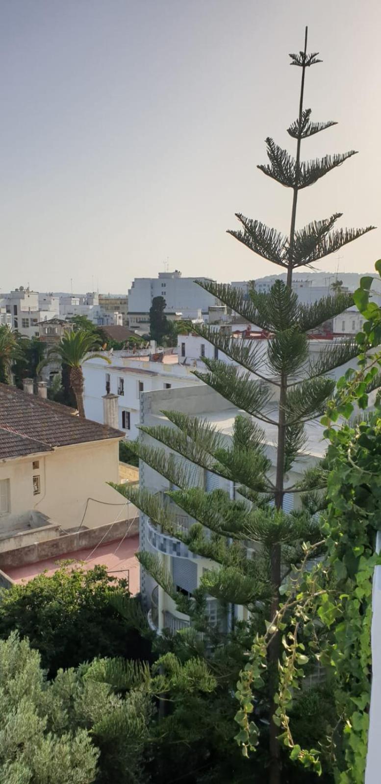 Guesthouse Kasbah Old Medina Tanger Экстерьер фото